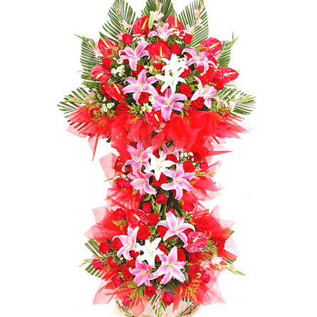鮮花圖片